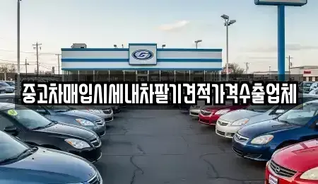 경상북도 김천시 신음동 중고차매매 전문 중고차매입시세내차팔기견적가격수출업체