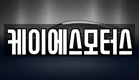 경상북도 김천시 신음동 중고차매매 전문 케이에스모터스