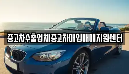 경상북도 김천시 신음동 중고차매입 전문 중고차수출업체중고차매입매매지원센터