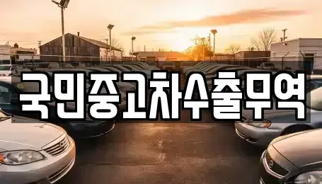 경상북도 성주군 월항면 중고차매매 전문 국민중고차수출무역