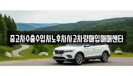 경상북도 성주군 월항면 중고차매입 전문 중고차수출수입차노후차사고차량매입매매센타