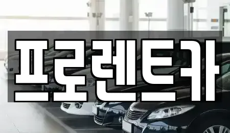 경상북도 안동시 대석동 렌트카 전문 프로렌트카
