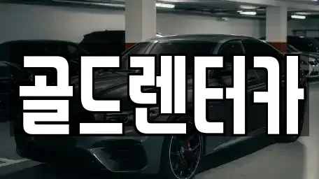 경상북도 안동시 동문동 렌트카 전문 골드렌터카