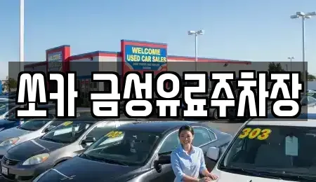 경상북도 안동시 동문동 렌트카 전문 쏘카 금성유료주차장