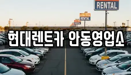경상북도 안동시 동문동 렌트카,단기렌트카,장기렌트카,중고차,중고차매매,중고차매입