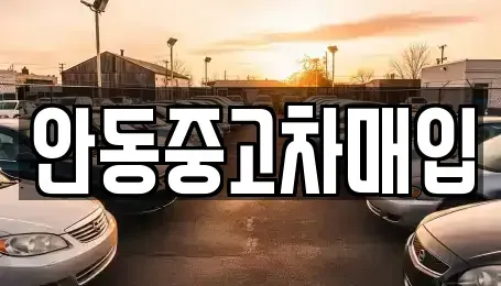 경상북도 안동시 동문동 중고차 전문 안동중고차매입