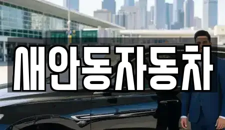 경상북도 안동시 중고차매매 전문 새안동자동차