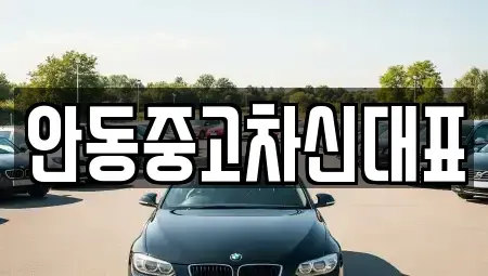 경상북도 안동시 중고차매매,단기렌트카,중고차매입,장기렌트카,중고차,렌트카