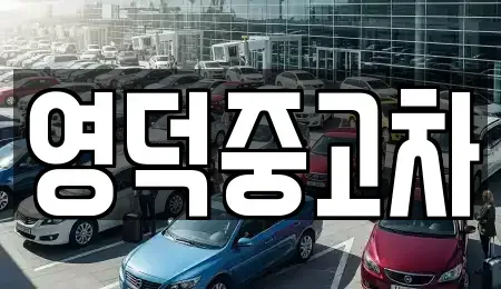 경상북도 영덕군 지품면 중고차매매 전문 영덕중고차