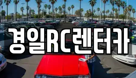 경상북도 영천시 서산동 렌트카 전문 경일RC렌터카