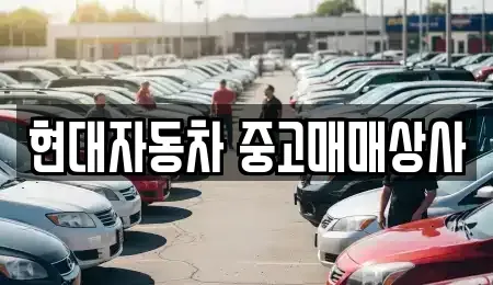 경상북도 영천시 서산동 중고차 전문 현대자동차 중고매매상사