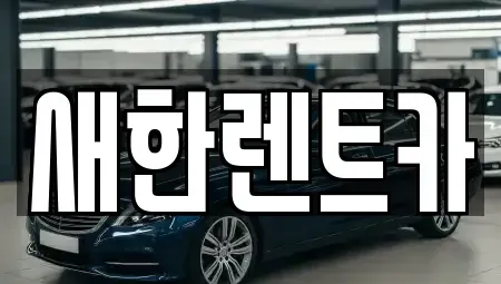 경상북도 영천시 화룡동 렌트카 전문 새한렌트카