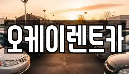 경상북도 영천시 화룡동 렌트카 전문 오케이렌트카
