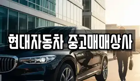 경상북도 영천시 화룡동 중고차매매 전문 현대자동차 중고매매상사