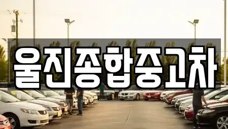 경상북도 울진군 중고차 전문 울진종합중고차