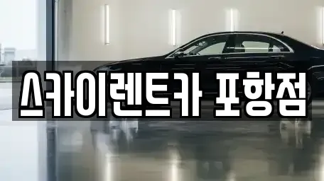경상북도 포항시 북구 렌트카 전문 스카이렌트카 포항점