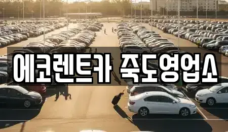 경상북도 포항시 북구 렌트카 전문 에코렌트카 죽도영업소