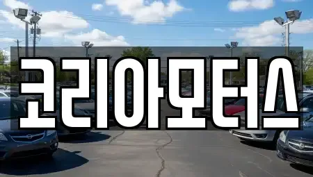 경상북도 포항시 북구 중고차 전문 코리아모터스