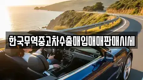 경상북도 포항시 북구 중고차 전문 한국무역중고차수출매입매매판매시세
