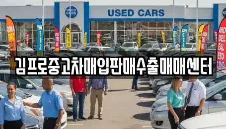 경상북도 포항시 북구 중고차매입 전문 김프로중고차매입판매수출매매센터