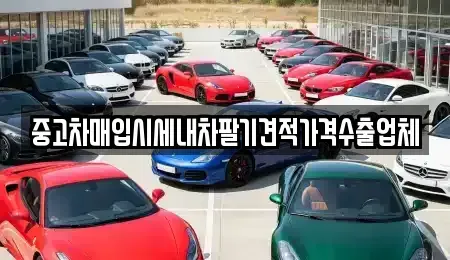 경상북도 포항시 북구 중고차매입 전문 중고차매입시세내차팔기견적가격수출업체