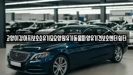 광주 광산구 양동 중고차 전문 고양이강아지보호소유기묘요양원유기동물파양유기견보호센터쉼터