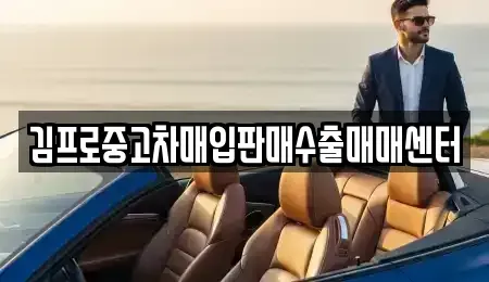 광주 동구 광산동 중고차 전문 김프로중고차매입판매수출매매센터