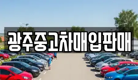 광주 동구 산수동 중고차 전문 광주중고차매입판매