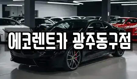 광주 동구 월남동 렌트카 전문 에코렌트카 광주동구점