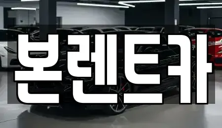 광주 북구 신안동 장기렌트카 전문 본렌트카