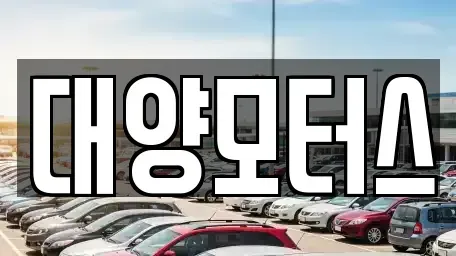 광주 북구 신안동 중고차매매 전문 대양모터스