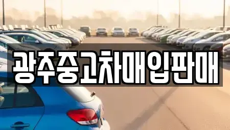 광주 북구 신안동 중고차매입 전문 광주중고차매입판매