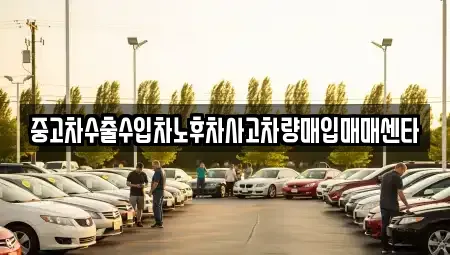 광주 북구 신안동 중고차매입 전문 중고차수출수입차노후차사고차량매입매매센타