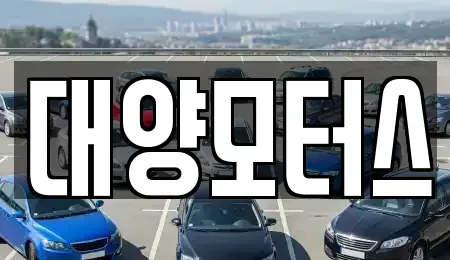 광주광역시 광산구 산월동 중고차 전문 대양모터스