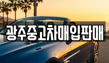 광주광역시 남구 서동 중고차매입 전문 광주중고차매입판매