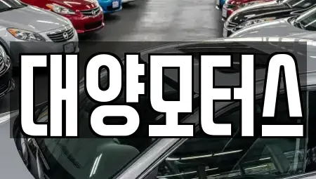 광주광역시 북구 수곡동 중고차매매 전문 대양모터스