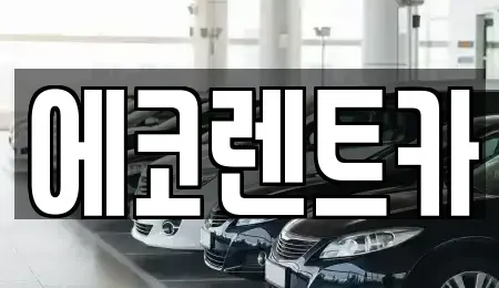 광주광역시 북구 우산동 렌트카 전문 에코렌트카