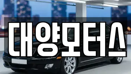 광주광역시 북구 우산동 중고차매매 전문 대양모터스