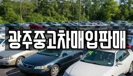 광주광역시 북구 우산동 중고차매입 전문 광주중고차매입판매