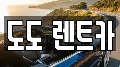 광주광역시 서구 풍암동 렌트카 전문 도도 렌트카