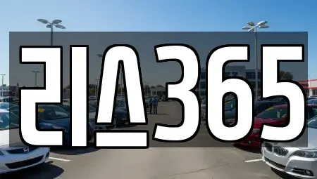 광주광역시 서구 풍암동 장기렌트카 전문 리스365