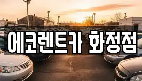 광주광역시 서구 풍암동 장기렌트카 전문 에코렌트카 화정점