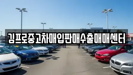 광주광역시 중고차매입 전문 김프로중고차매입판매수출매매센터