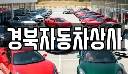 대구 남구 이천동 중고차 전문 경북자동차상사