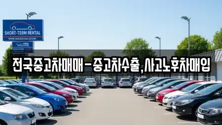 대구 남구 이천동 중고차매매 전문 전국중고차매매-중고차수출,사고노후차매입
