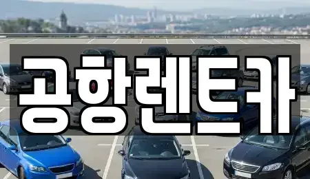 대구 달서구 월성동 렌트카 전문 공항렌트카