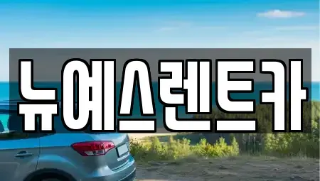 대구 달서구 월성동 렌트카 전문 뉴예스렌트카