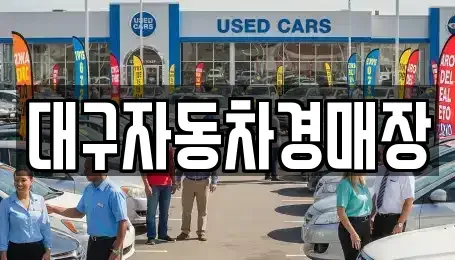 대구 달서구 월암동 중고차 전문 대구자동차경매장