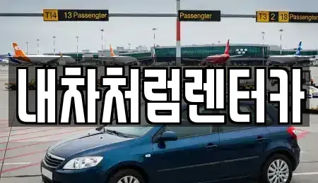 대구 달성군 구지면 렌트카 전문 내차처럼렌터카