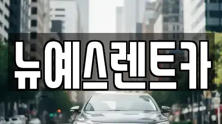 대구 달성군 구지면 렌트카 전문 뉴예스렌트카